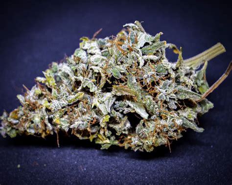 What Is Synthetic Cannabis Fast Buds