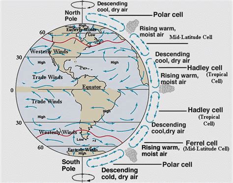 Convection Cells And Wind Belts Weather Science Geography Lessons