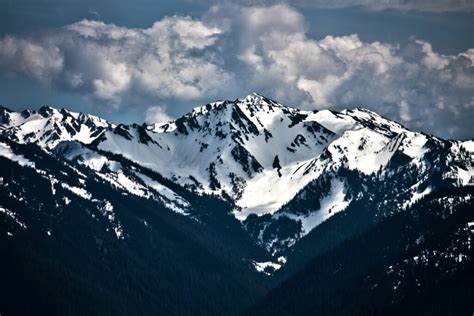 Visiting Olympic National Park The Complete Guide In 2022 National