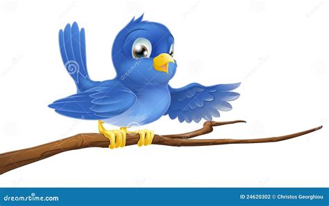 Bluebird Sitting On Branch Pointing Stock Vector Illustration Of Cute
