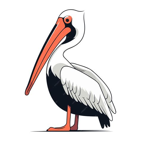 Pájaro Pelícano Aislado En Fondo Blanco Ilustración Vectorial De