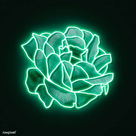 Rose Illustration Botanical Illustration Html Color Codes Neon