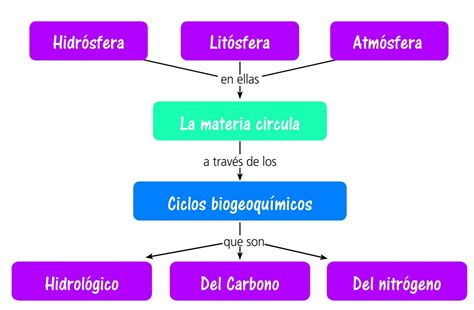 Mapa Conceptual Ciclos Biogeoquimicos Ciclos Biogeoquimicos Images