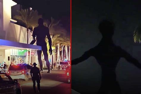 Miami Mall Alien Sighting Was A Hoax Police Confirm Swisher Post