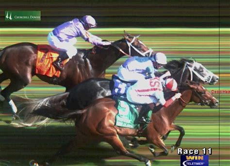 How It Works A Look At The Way Judges Call A Photo Finish Horse
