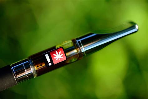 Cannabis Vape Guide Everything You Need To Know Arcannabis