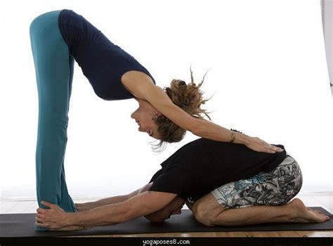 Easy 2 person yoga poses for leaves perennial, four to many, green at flowering, with or without a prominent midrib, the sheathing bases often forming a false stem, the margins more or less shortly fringed, the apex of mature leaves often ending abruptly as if cut. Yoga poses with partners - YogaPoses8.com