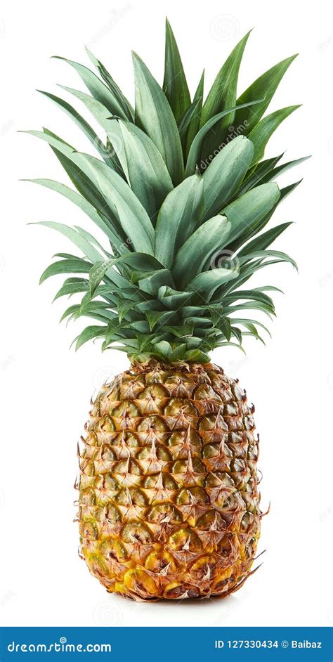 Fresh Whole Pineapple Isolated On White Stock Photo Image Of Sweet