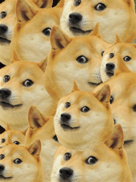 Doge love broke philanthropist @davidlovedoge. Doge Wallpaper (31 Wallpapers) - Adorable Wallpapers
