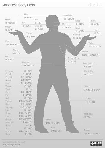 Japanese Body Parts Cheat Sheet A Japanese Body Parts Chea Flickr
