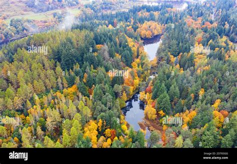 Aerial View Of Autumn Colours Of Woodland At Loch Dunmore In Faskally