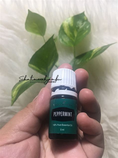 It promotes the hormone estrogen. Young Living | Minty Aroma Essential Oils Peppermint ...