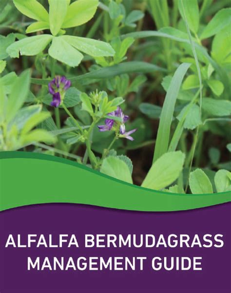 Pdf Alfalfa Bermudagrass Management Guide And Management Calendar