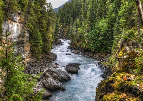 The Best Fraser River Tours And Tickets 2019 Jasper Viator