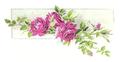 Antique Images Vintage Flower Clip Art Pink Rose Illustration From