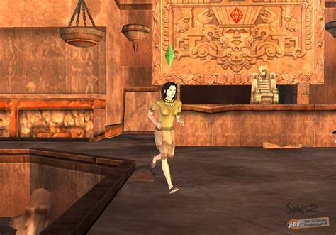 The Sims 2 Island Wii Multiplayerit