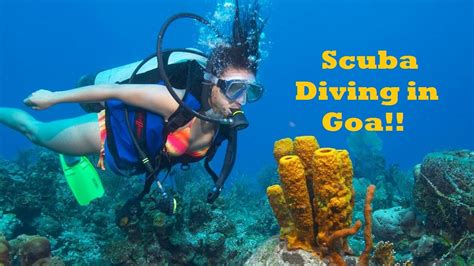 Scuba Diving In Goa Youtube
