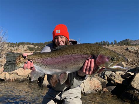 Spring Fly Fishing Report Colorado Trout Hunters