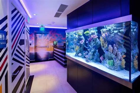 11 Incredible Aquarium Designs That You Can Try To Make Your Home Look