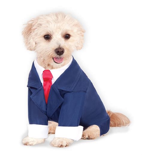 Ten Dangerously Adorable Diy Dog Costumes Frugal Beautiful