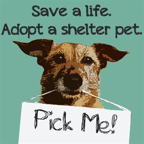 Adoptions can and will be denied if an adopter cannot meet requirements or may i request a pet or hold a pet? October is Adopt a Dog Month at the Humane Society. Show ...