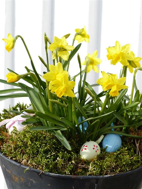 Easter Planters For Spring Porch Decorating Flowerups