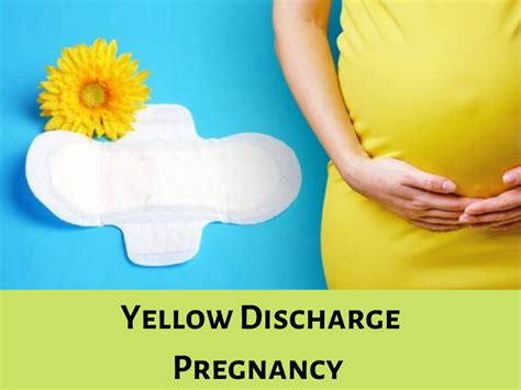 yellow discharge pregnancy is it normal healthpulls