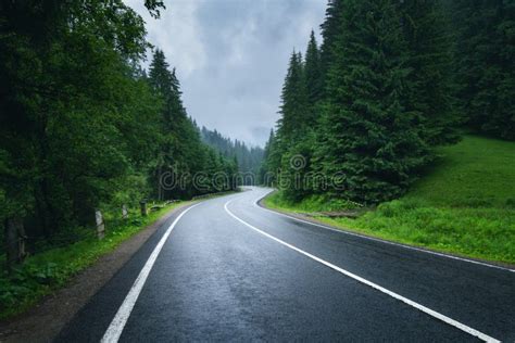 520 Mountain Road Foggy Day Rainy Landscape Stock Photos Free