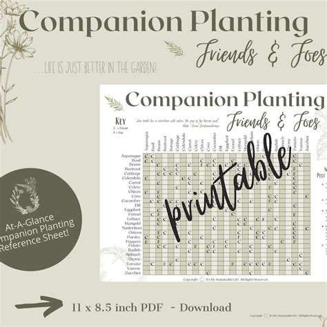Companion Planting Guide Etsy