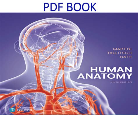 Human Anatomy Martini 9th Edition Pdf Free Pdfyut