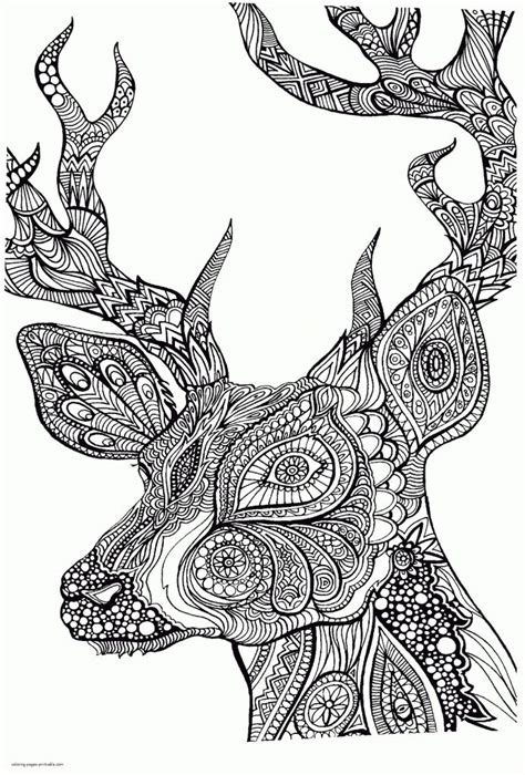 Https://tommynaija.com/coloring Page/printable Wild Animal Coloring Pages