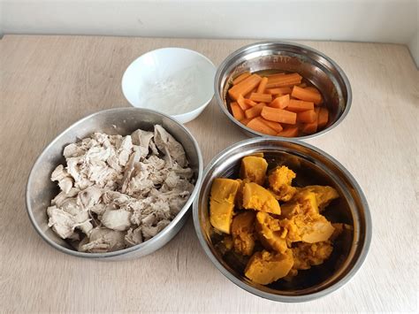 Menurut perkongsian gadis tersebut, semasa dirinya berjalan kaki untuk pulang ke rumah dari pasar malam, terdapat seorang individu menegurnya untuk memberi makanan kepada kucing. Cara Nak Buat Makanan Kucing Homemade, Confirm Si Bulus ...