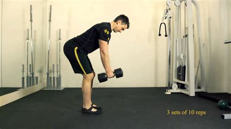 Back Workouts Bent Over Dumbbell Row Kayaworkout Co