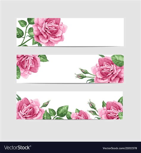 Rose Banner Svg