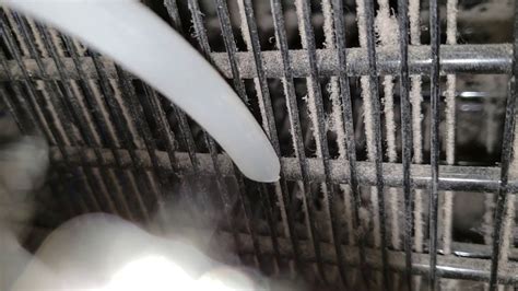Cleaning Refrigerator Coils Youtube