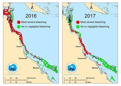 Great Barrier Reef Two Thirds Damaged In Unprecedented Bleaching