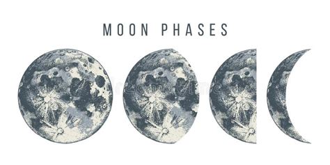 Moon Phases Illustration Stock Vector Illustration Of Paint 125246139