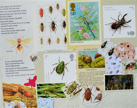 Insectsbugsbeetles Paper Ephemera Pack Craft Pack Scrap Etsy