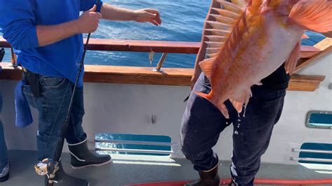 Thunderbird Fishing at Davey's Locker | Lockers, Thunderbird, Fish
