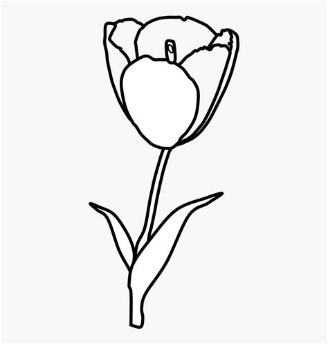 Clip Art Tulip Black And White