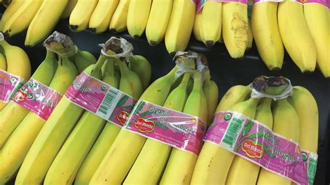 Organic Bananas Gain Appeal Produce Business Magazine