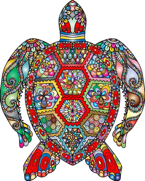Free Image on Pixabay - Sea Turtle, Floral, Flowers | Sea turtle art, Sea turtle, Turtle art