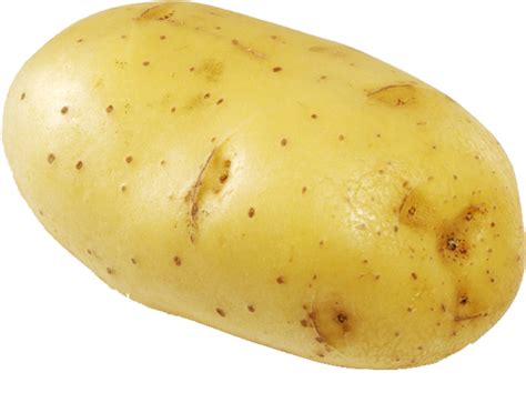Download High Quality Potato Clipart Vector Transparent Png Images