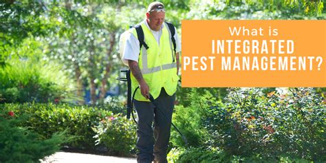What Is Integrated Pest Management Schill Grounds Management