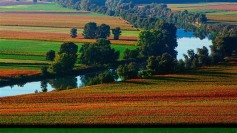 Paisagens Do Campo E Da Cidade