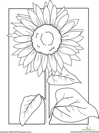 Color the Sunflower! | Sunflower coloring pages, Sunflower ... You can edit any of drawings via our online image editor before downloading.