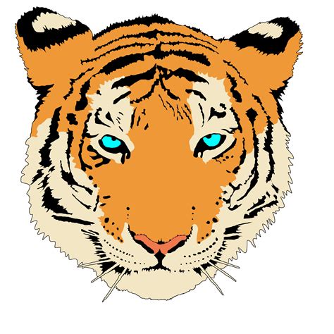 Bengal Tiger Clip Art Vector Clip Art Online Royalty Free