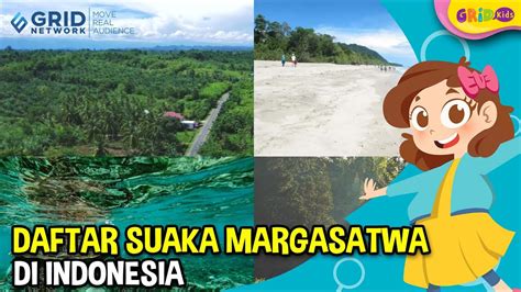 Daftar Suaka Margasatwa Di Indonesia Salah Satunya Lamandau Fakta