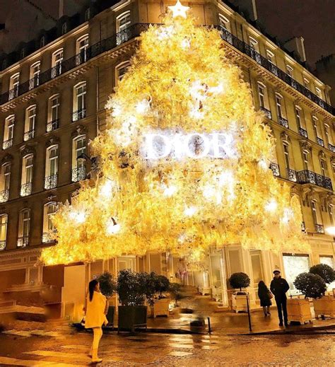 🇫🇷 Dior Paris Christmas Tree Paris France By Véronique G Veroa