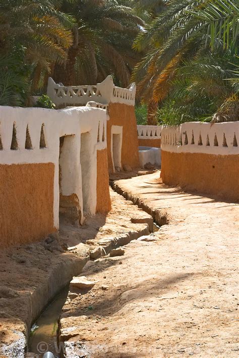 Wildfocus Images Libya Ghadames Old City